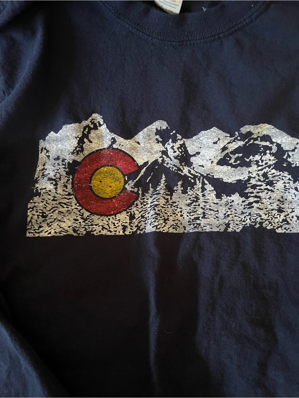 Bundle of 4 Vintage Navy Blue Tees with Colorado Mountain Graphic - Picture 3 of 5
